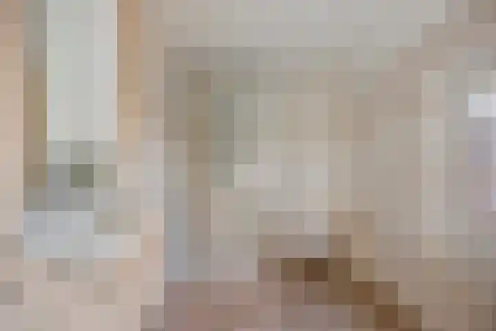 Fabrieksstraat 42 Halsteren thumbnail 5