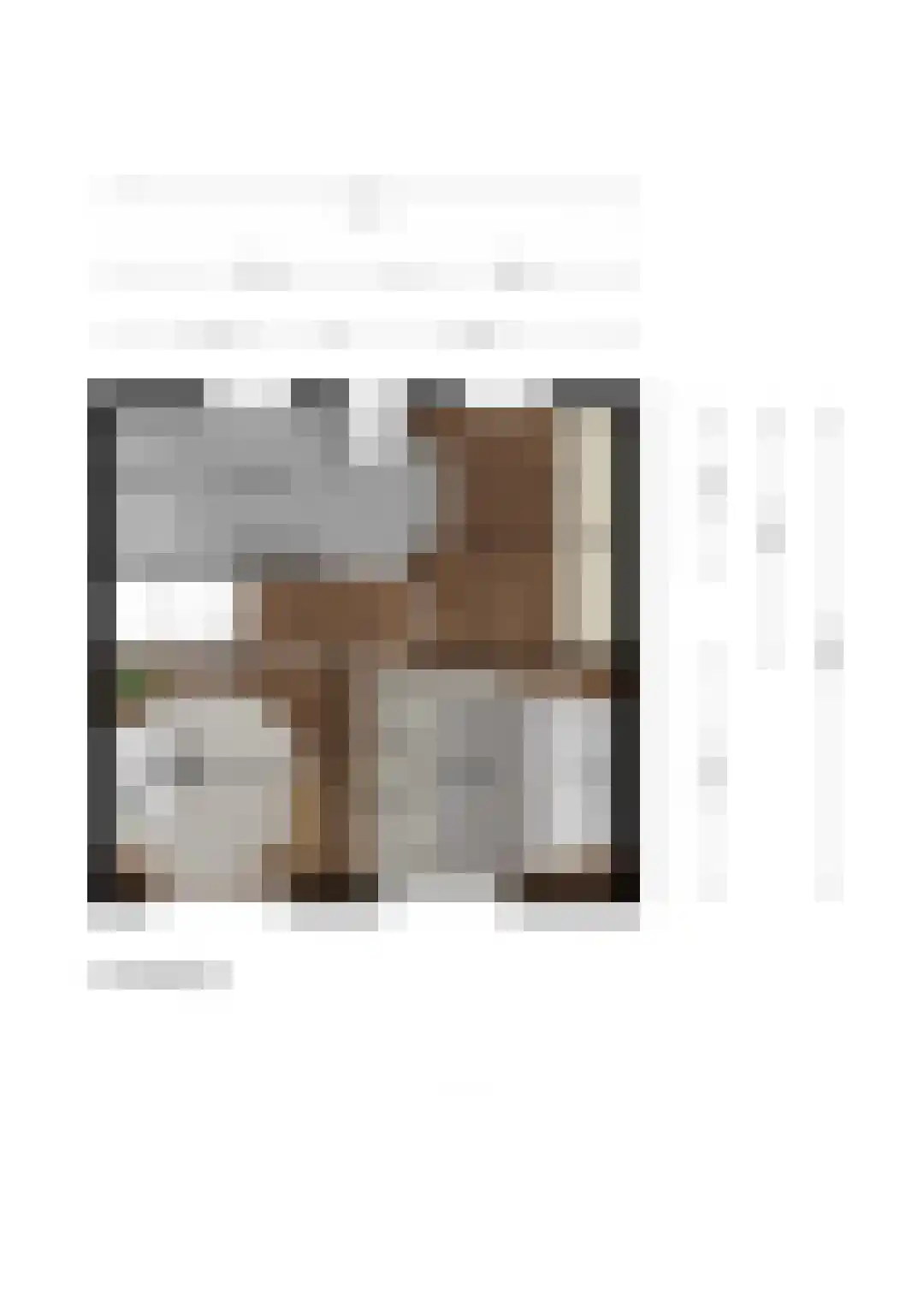 Fabrieksstraat 42 Halsteren thumbnail 50