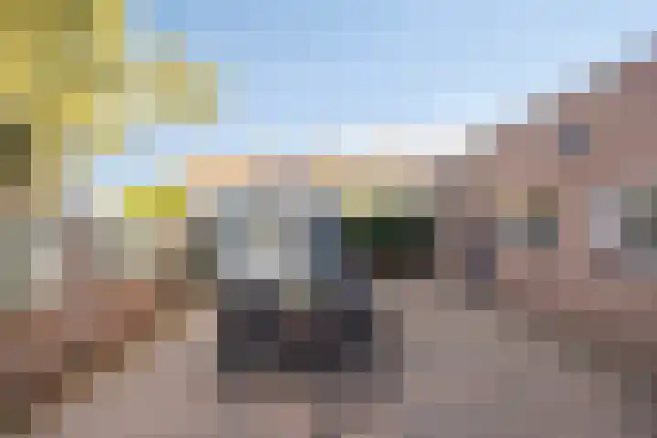 Fabrieksstraat 42 Halsteren thumbnail 6