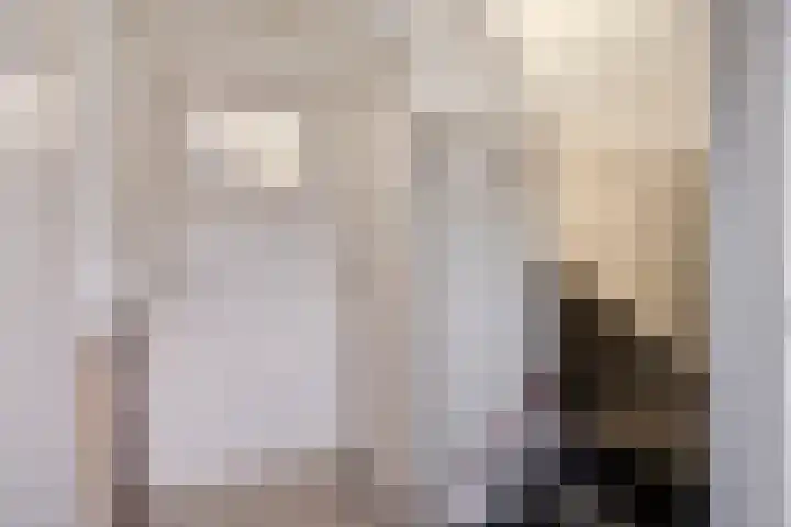 Fabrieksstraat 42 Halsteren thumbnail 8