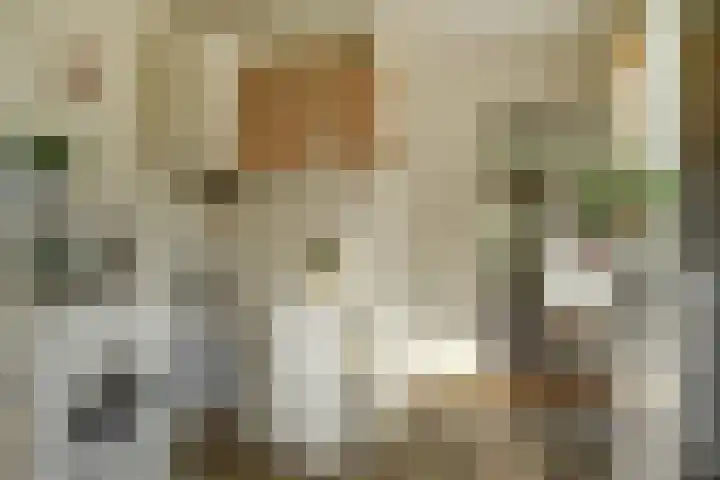 Fabrieksstraat 75 Warmenhuizen thumbnail 10