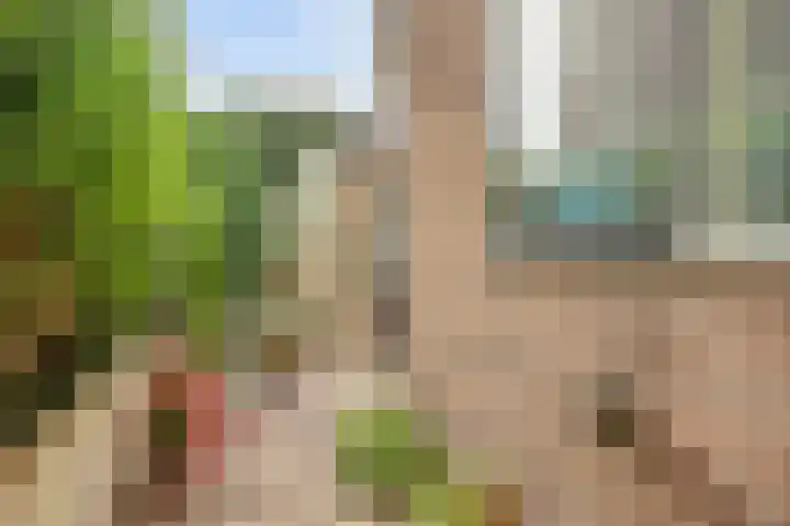 Fabrieksstraat 75 Warmenhuizen thumbnail 29