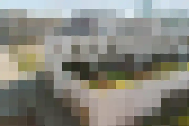 Fabrieksstraat 91 in Delft