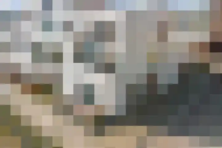 Fabrieksstraat 91 Delft thumbnail 11