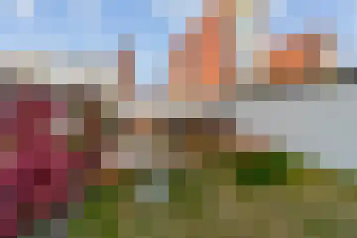 Fabrieksstraat 91 Delft thumbnail 44