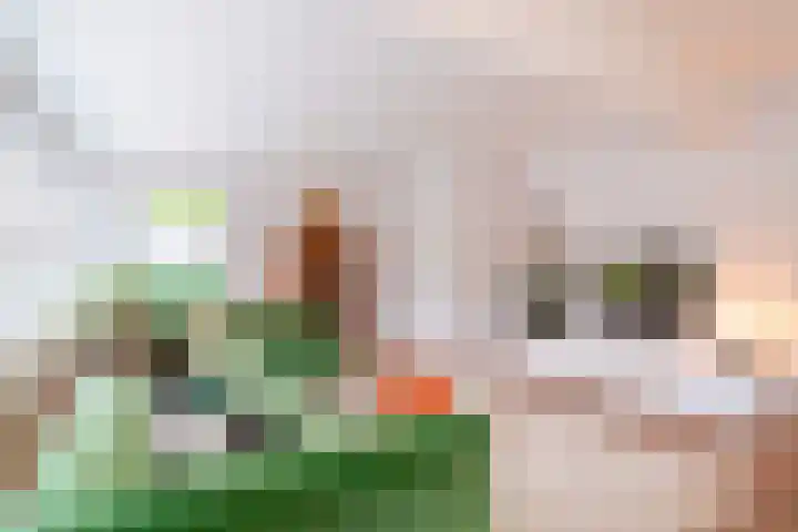 Fabrieksstraatje 1 Eext thumbnail 17