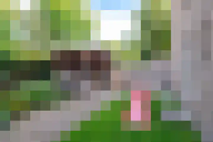 Fabrieksstraatje 1 Eext thumbnail 6