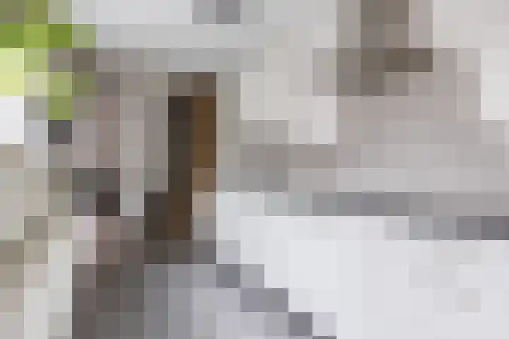 Fabriekstraat 10 Bergen op Zoom thumbnail 16