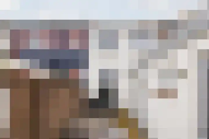 Fabriekstraat 10 Bergen op Zoom thumbnail 42
