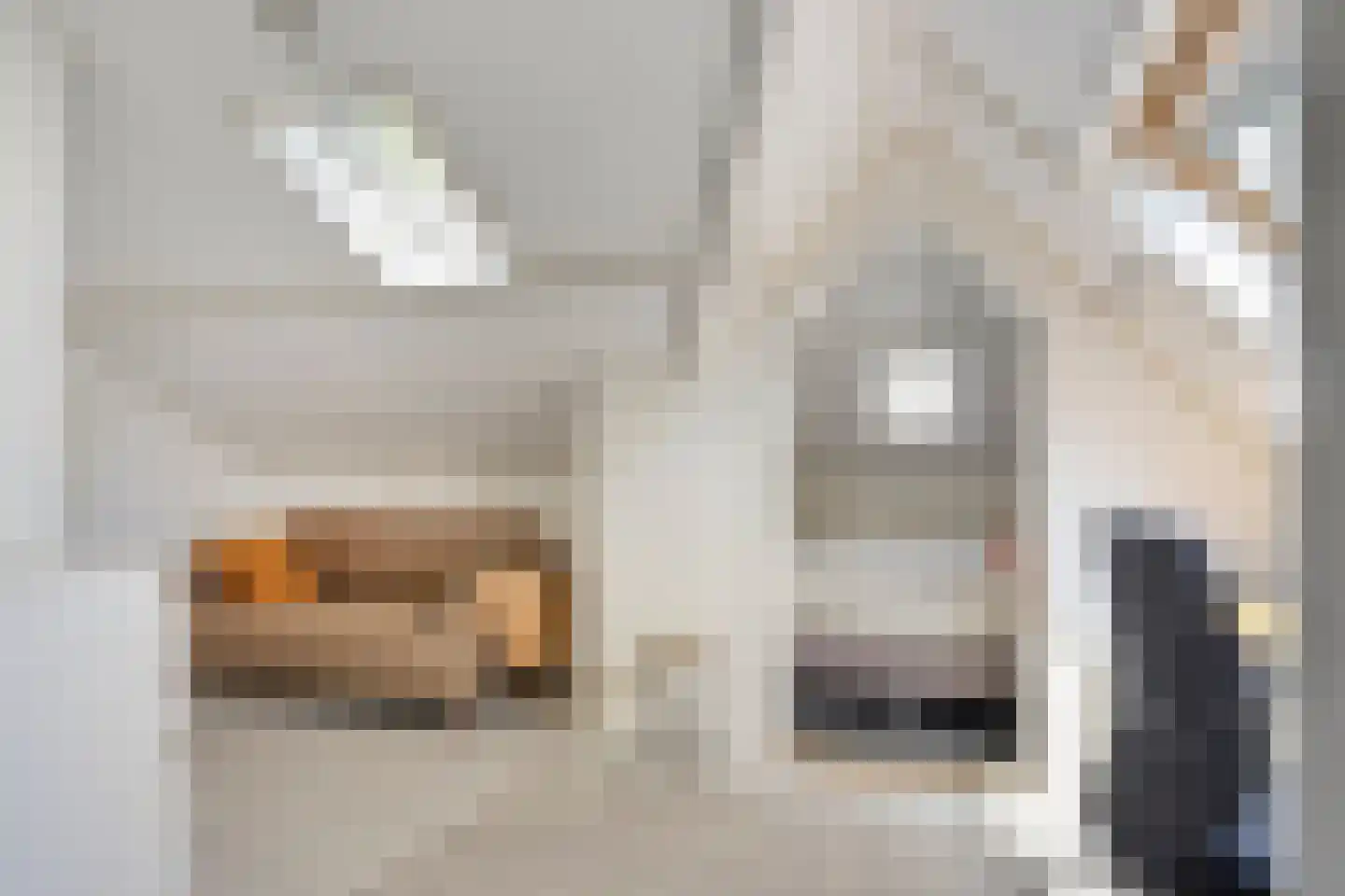 Fabriekstraat 16 Apeldoorn thumbnail 31