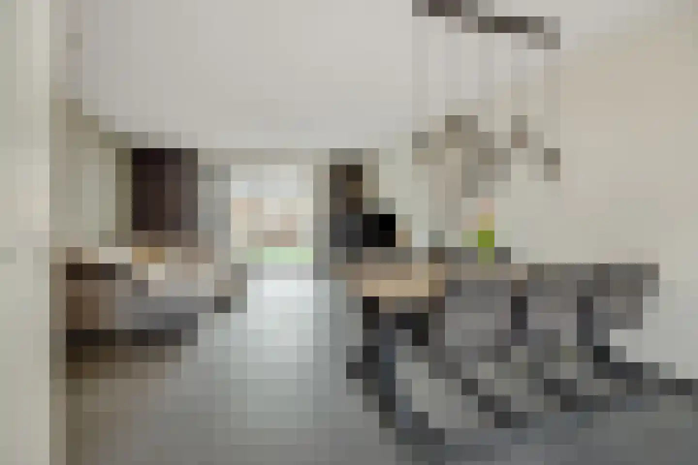 Fabriekstraat 18 e Deurne thumbnail 11