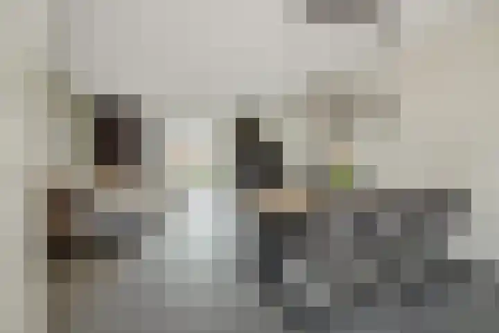 Fabriekstraat 18 e Deurne thumbnail 11