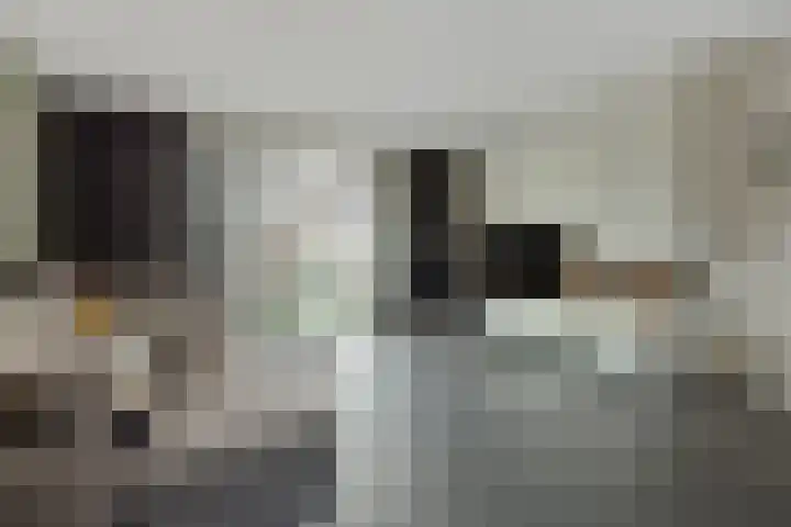 Fabriekstraat 18 e Deurne thumbnail 12