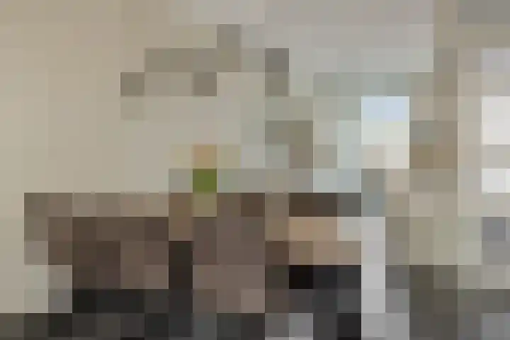 Fabriekstraat 18 e Deurne thumbnail 16