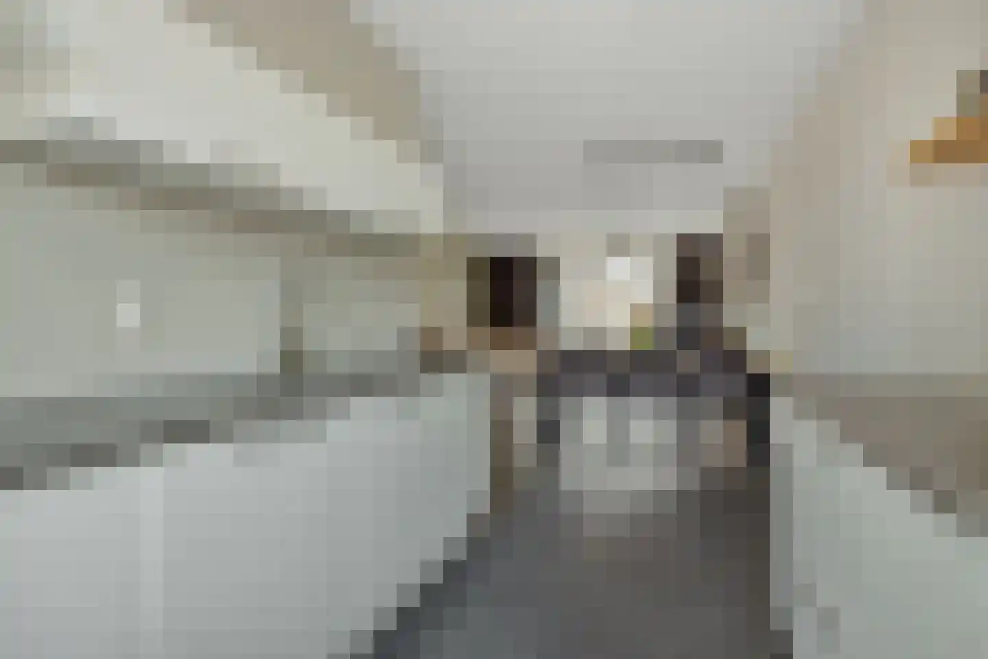 Fabriekstraat 18 e Deurne thumbnail 19