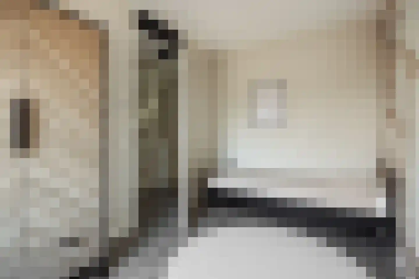 Fabriekstraat 18 e Deurne thumbnail 22