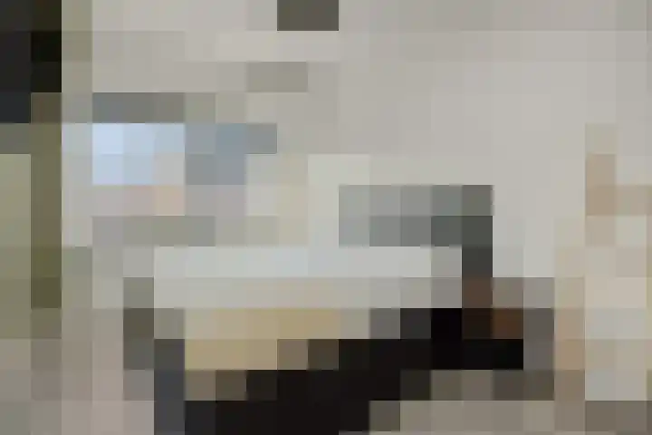 Fabriekstraat 18 e Deurne thumbnail 23