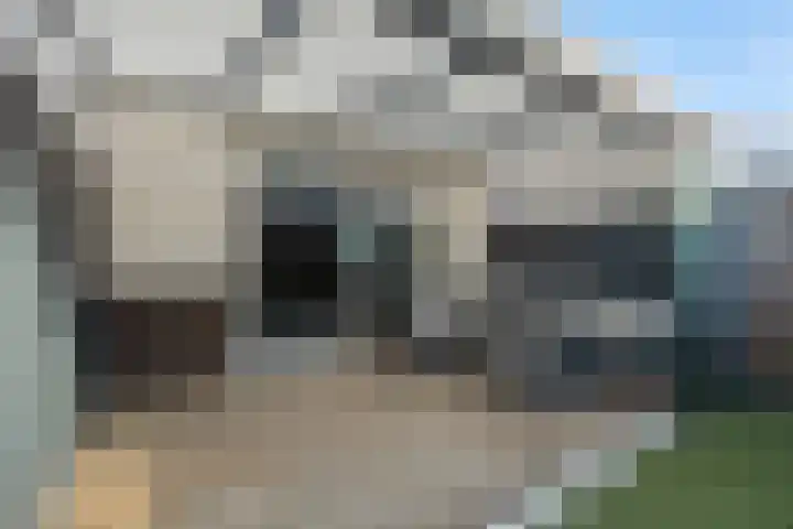 Fabriekstraat 18 e Deurne thumbnail 34