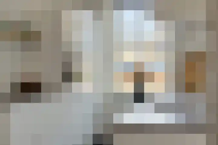 Fabriekstraat 18 e Deurne thumbnail 4