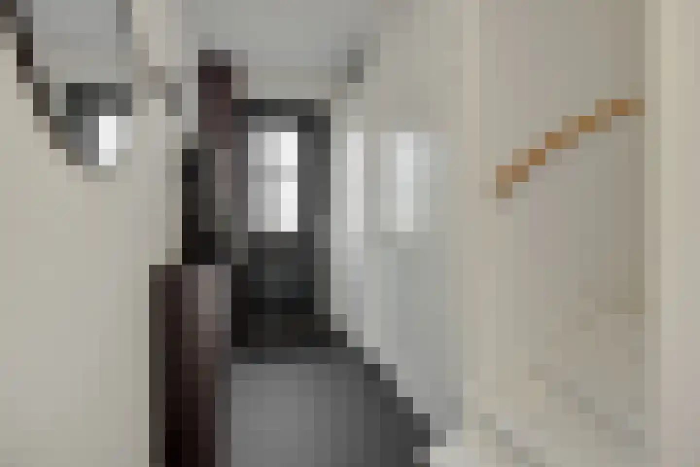 Fabriekstraat 18 e Deurne thumbnail 7