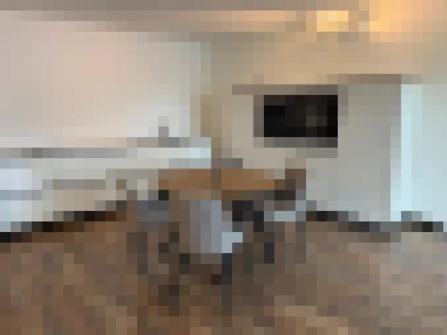 Fabriekstraat 2 01 Goirle thumbnail 12