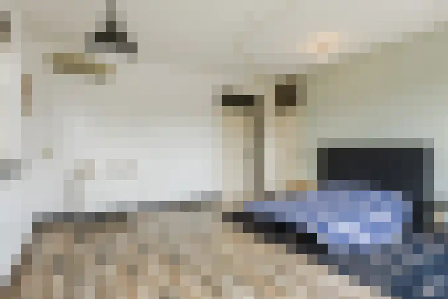 Fabriekstraat 2 Goirle thumbnail 14