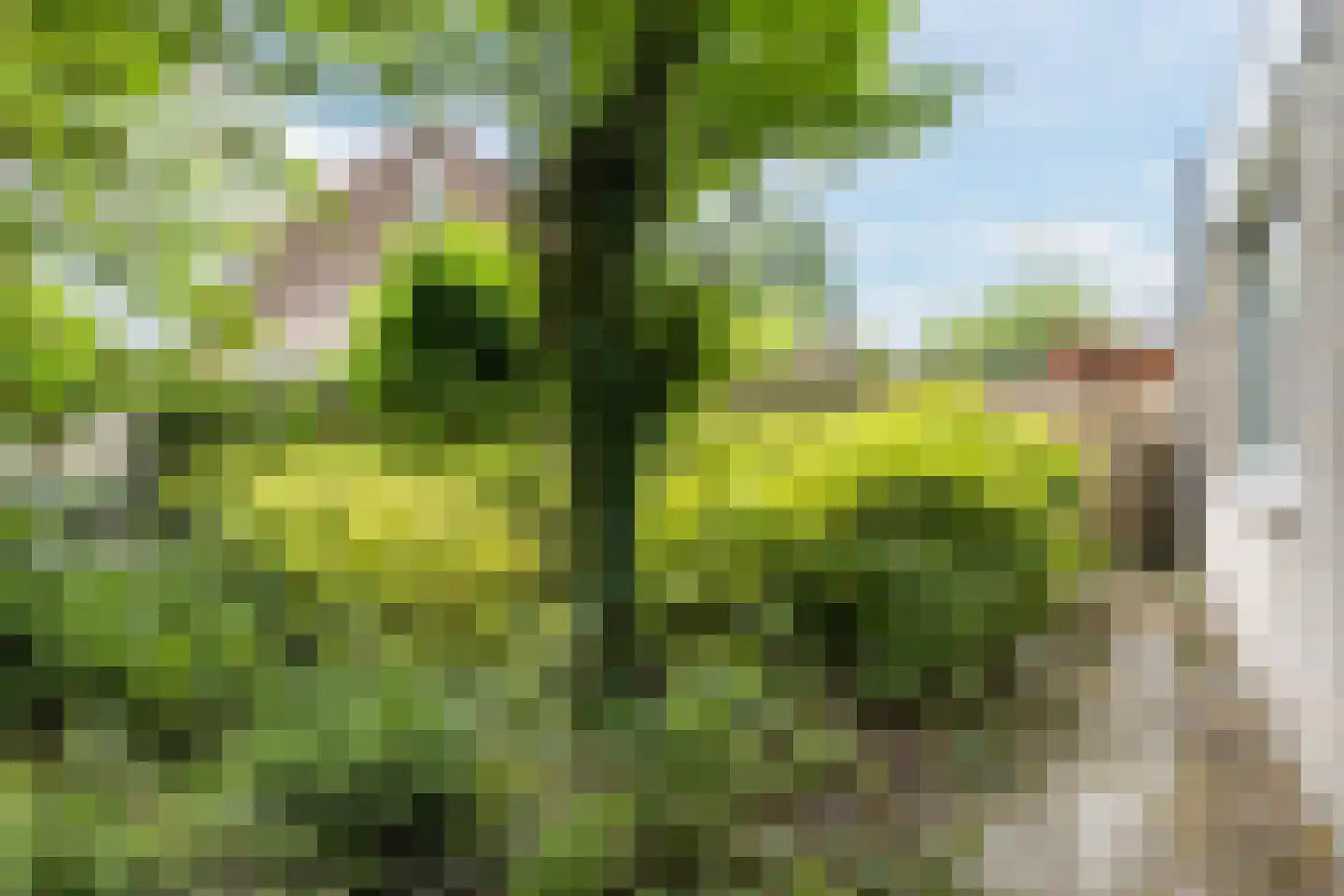 Fabriekstraat 2 Goirle thumbnail 19