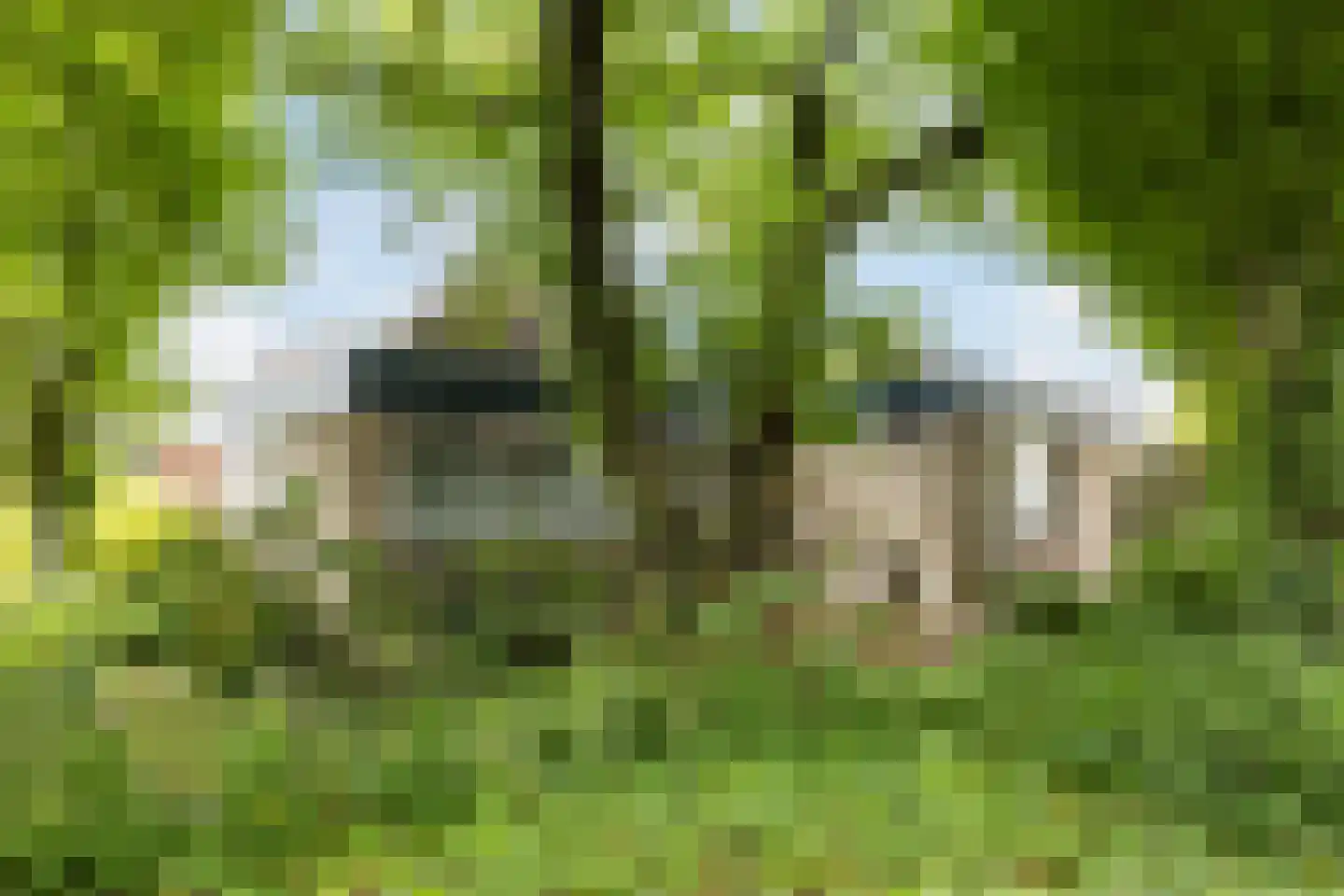 Fabriekstraat 2 Goirle thumbnail 20
