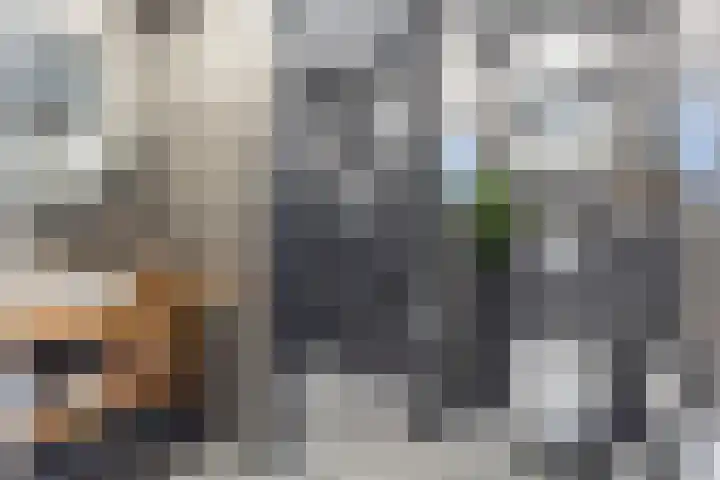 Fabriekstraat 20 Apeldoorn thumbnail 23