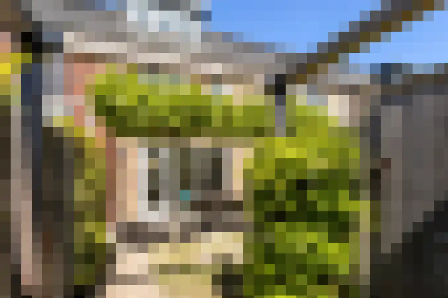 Fabriekstraat 23 Bergen op Zoom thumbnail 35