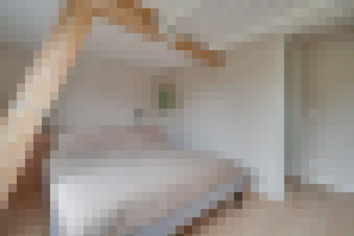 Fabriekstraat 26 Utrecht thumbnail 43