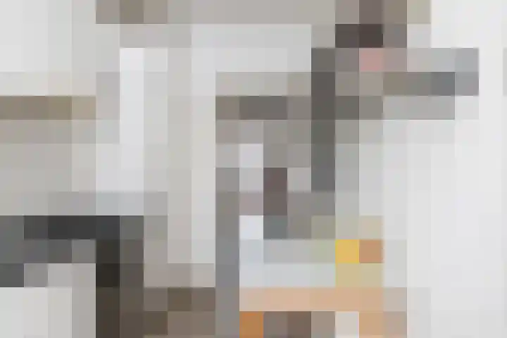 Fabriekstraat 3 Tilburg thumbnail 21