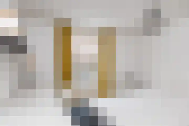 Fabriekstraat 3 Tilburg thumbnail 29