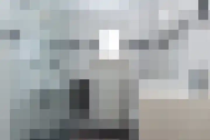 Fabriekstraat 3 Tilburg thumbnail 33