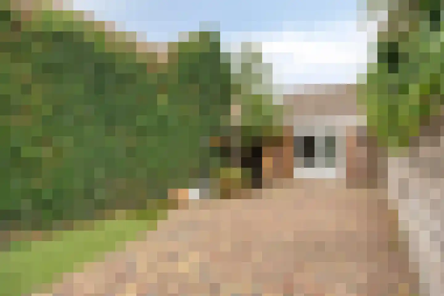 Fabriekstraat 31 Goirle thumbnail 24