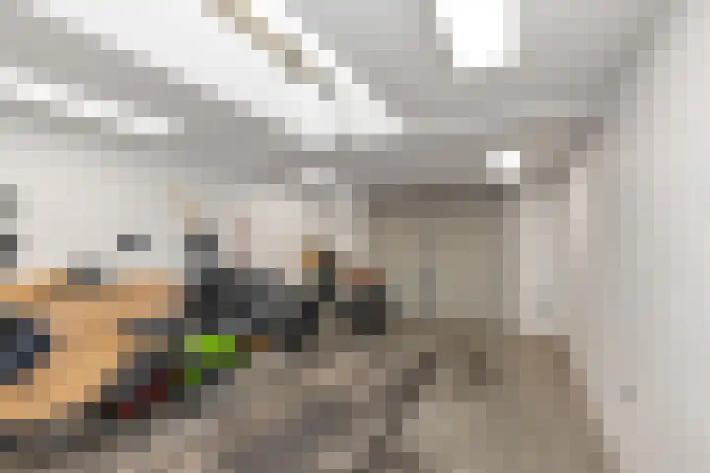 Fabriekstraat 31 Goirle thumbnail 25