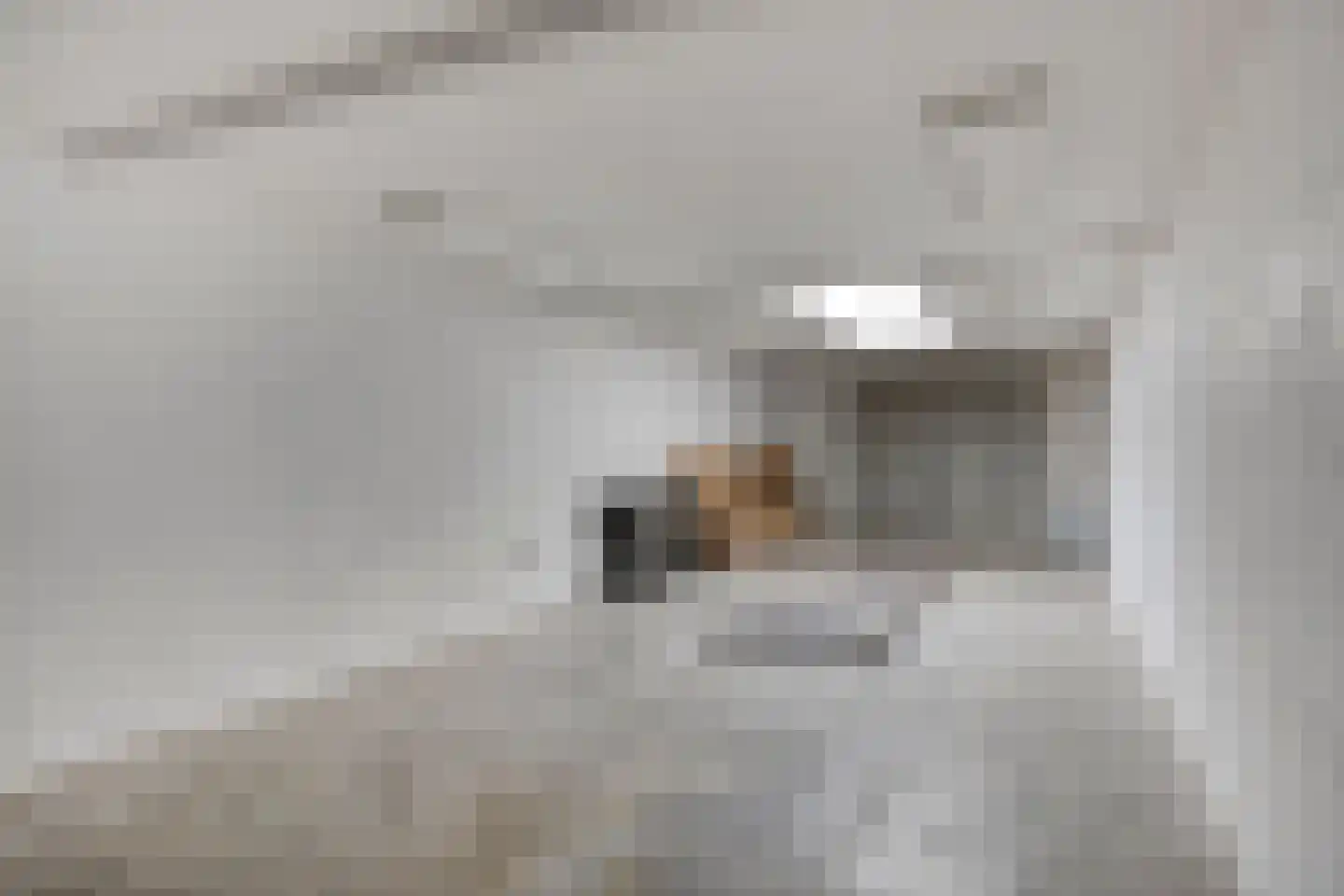 Fabriekstraat 31 Goirle thumbnail 26