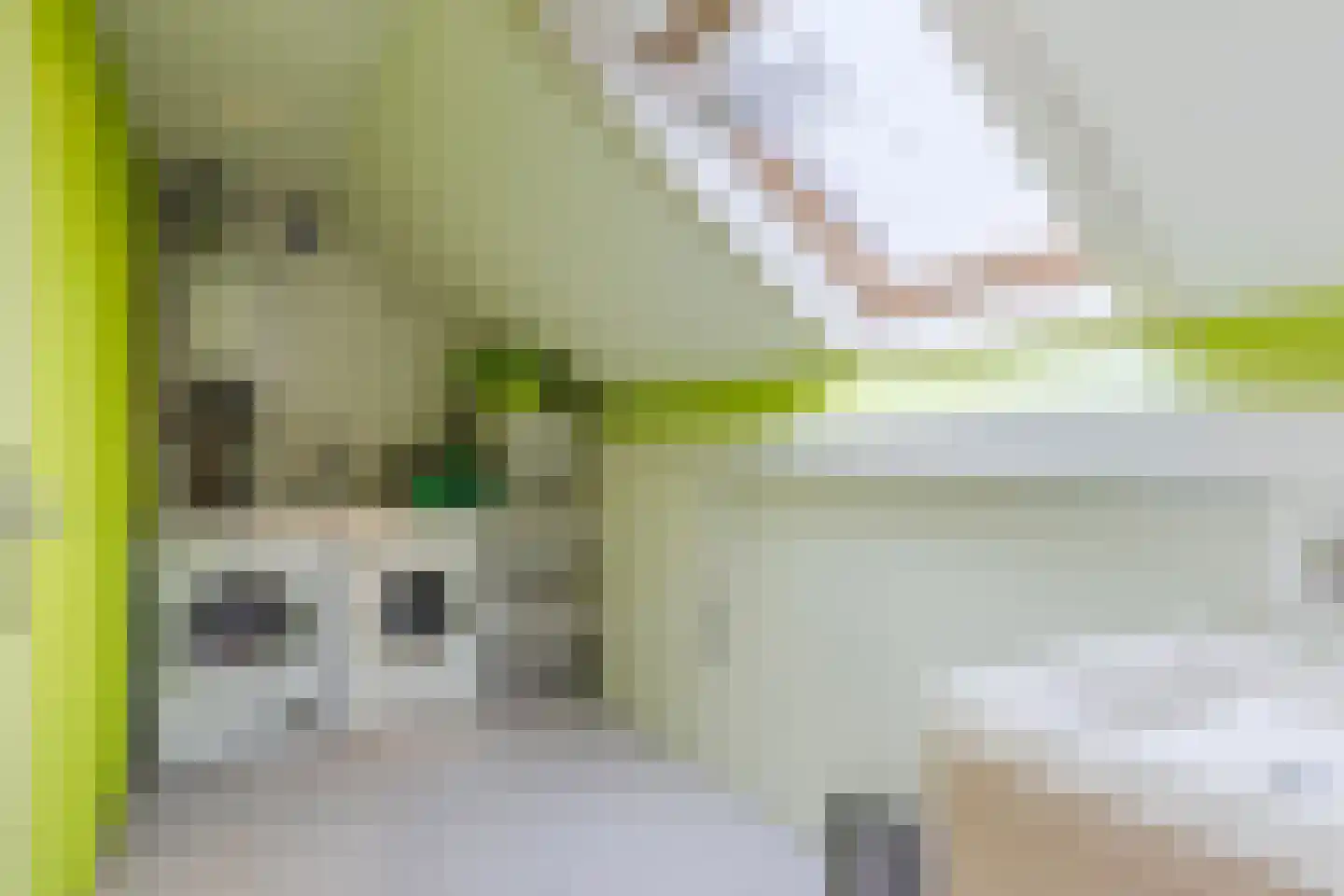Fabriekstraat 53 a Goirle thumbnail 32