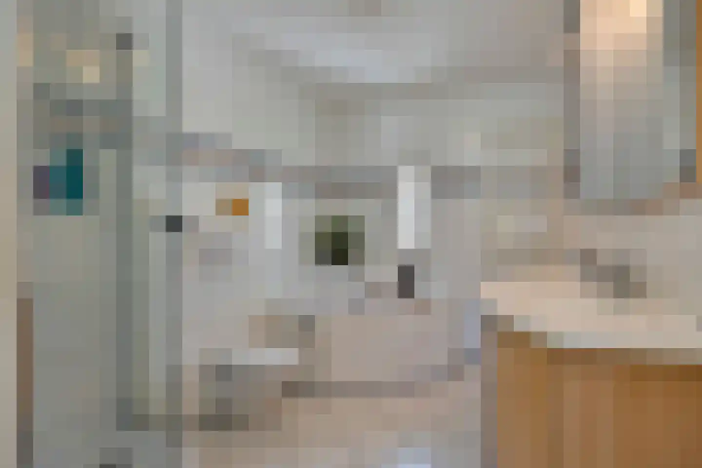 Fabriekstraat 53 a Goirle thumbnail 4