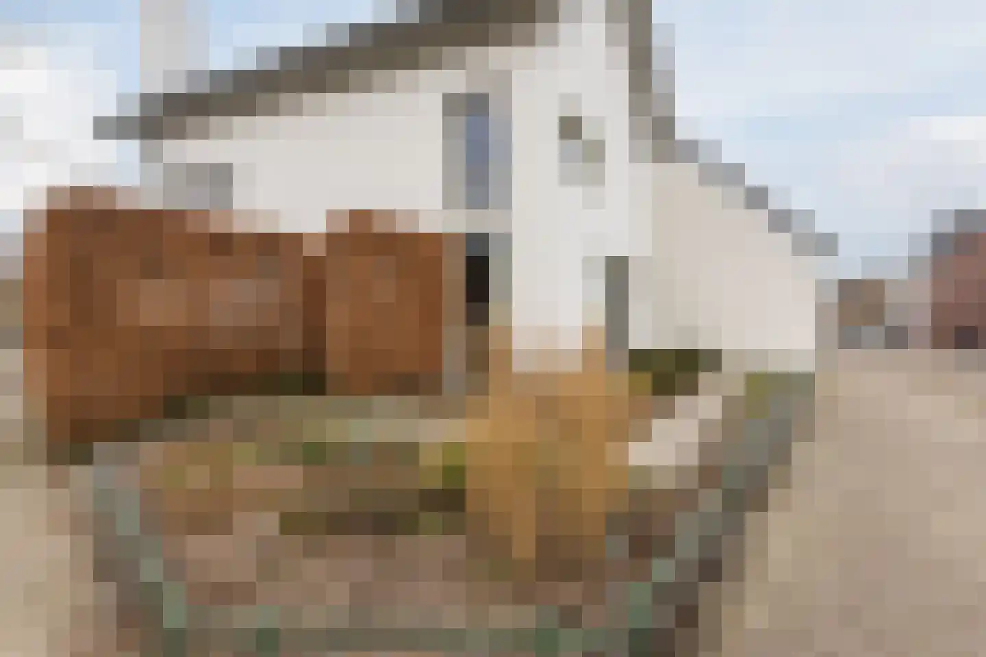 Fabriekstraat 53 a Goirle thumbnail 46