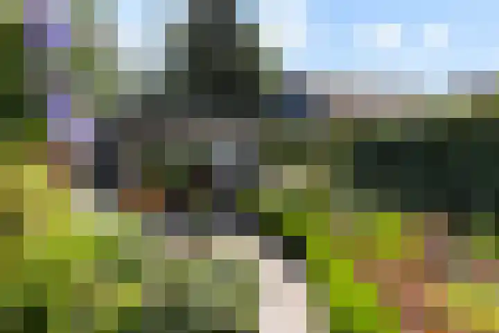 Fabriekstraat 57 Apeldoorn thumbnail 5