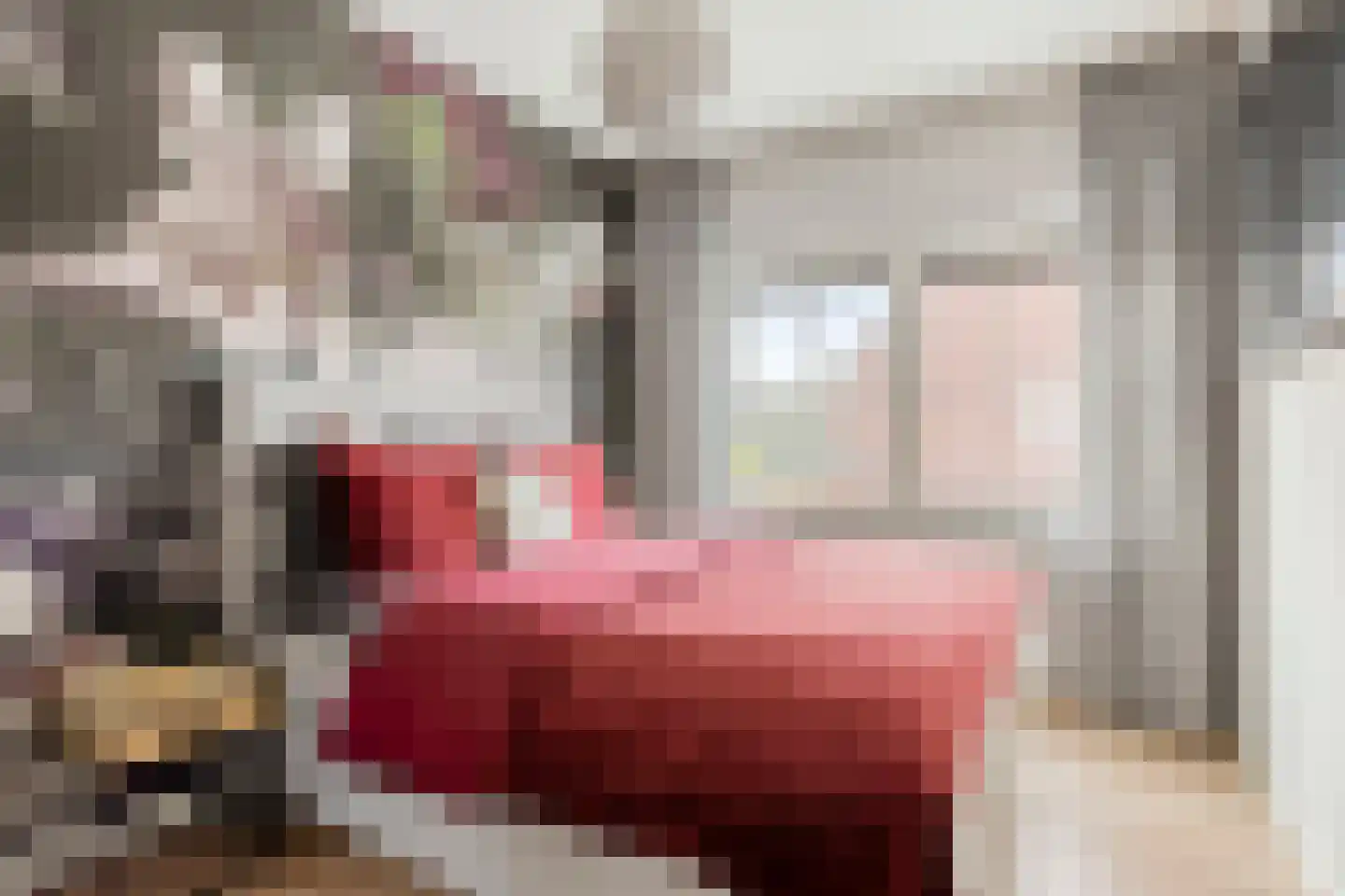 Fabriekstraat 6 a Deurne thumbnail 24