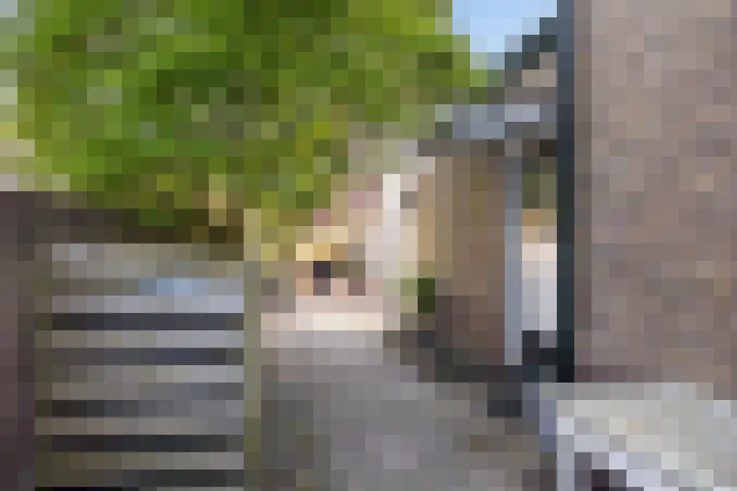 Fabriekstraat 63 Apeldoorn thumbnail 37