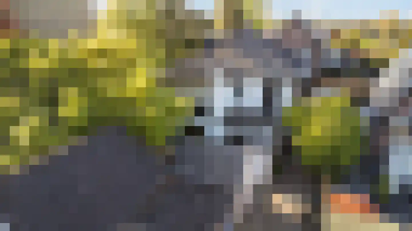 Fabriekstraat 63 Apeldoorn thumbnail 40
