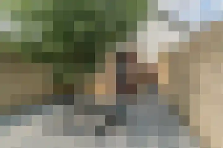 Fabriekstraat 63 Goirle thumbnail 27