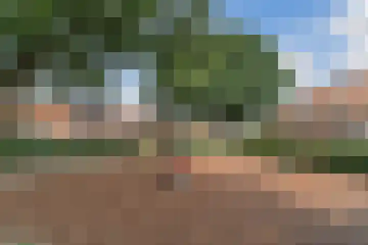 Fabriekstraat 63 Goirle thumbnail 32