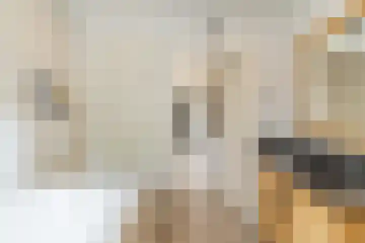 Fabriekstraat 63 Goirle thumbnail 8