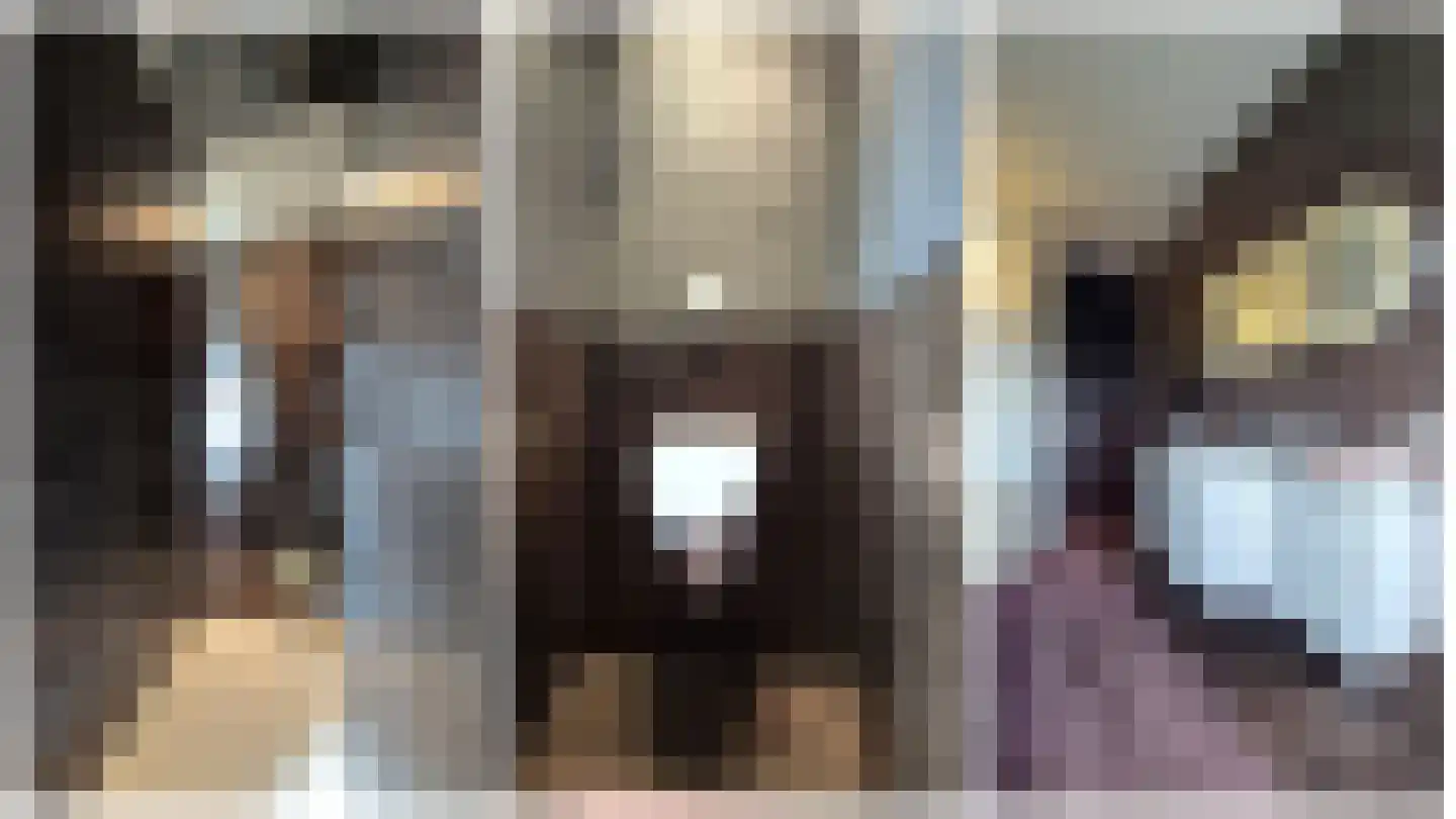 Fabriekstraat 69 Goirle thumbnail 45