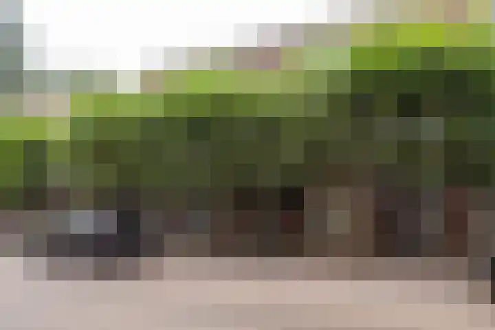 Fabriekstraat 7 Tilburg thumbnail 7