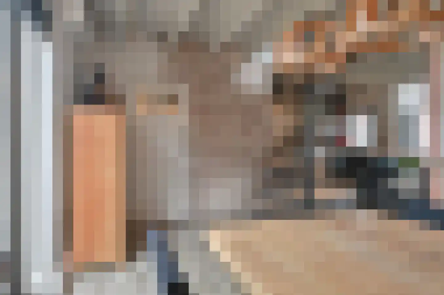 Fabriekswijk 6 De Krim thumbnail 12